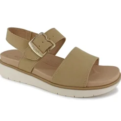 Dr. Scholl's Posie