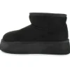 Hot Tomato Cosette Platform