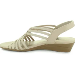 Impo Rima Stretch