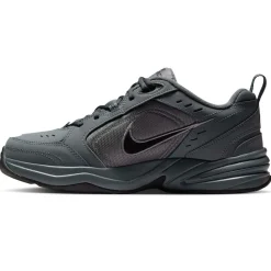 Nike Air Monarch IV