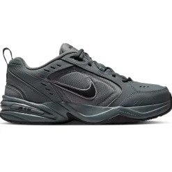 Nike Air Monarch IV