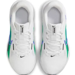 Nike Downshifter 13