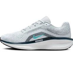 Nike Winflo 11
