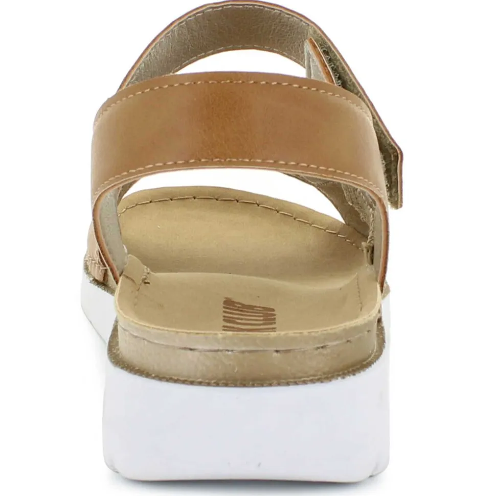 Oak Club CN250500