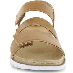 Oak Club CN250500